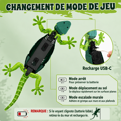 ChamiCatch™ Lézard grimpeur de murs